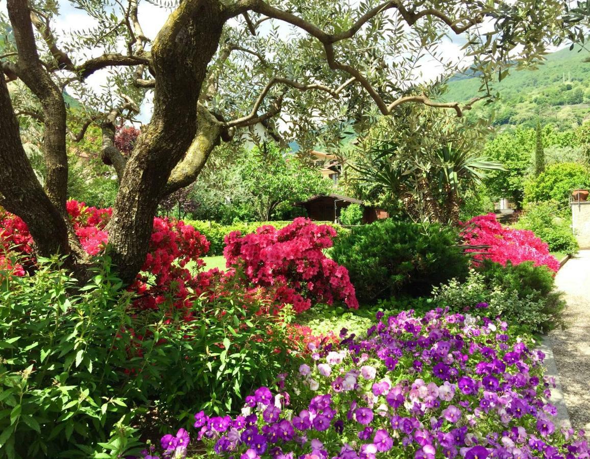 Iris 2 Lago Di Como ドンゴ エクステリア 写真