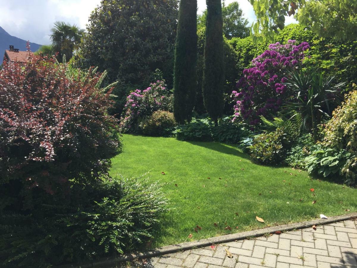 Iris 2 Lago Di Como ドンゴ エクステリア 写真