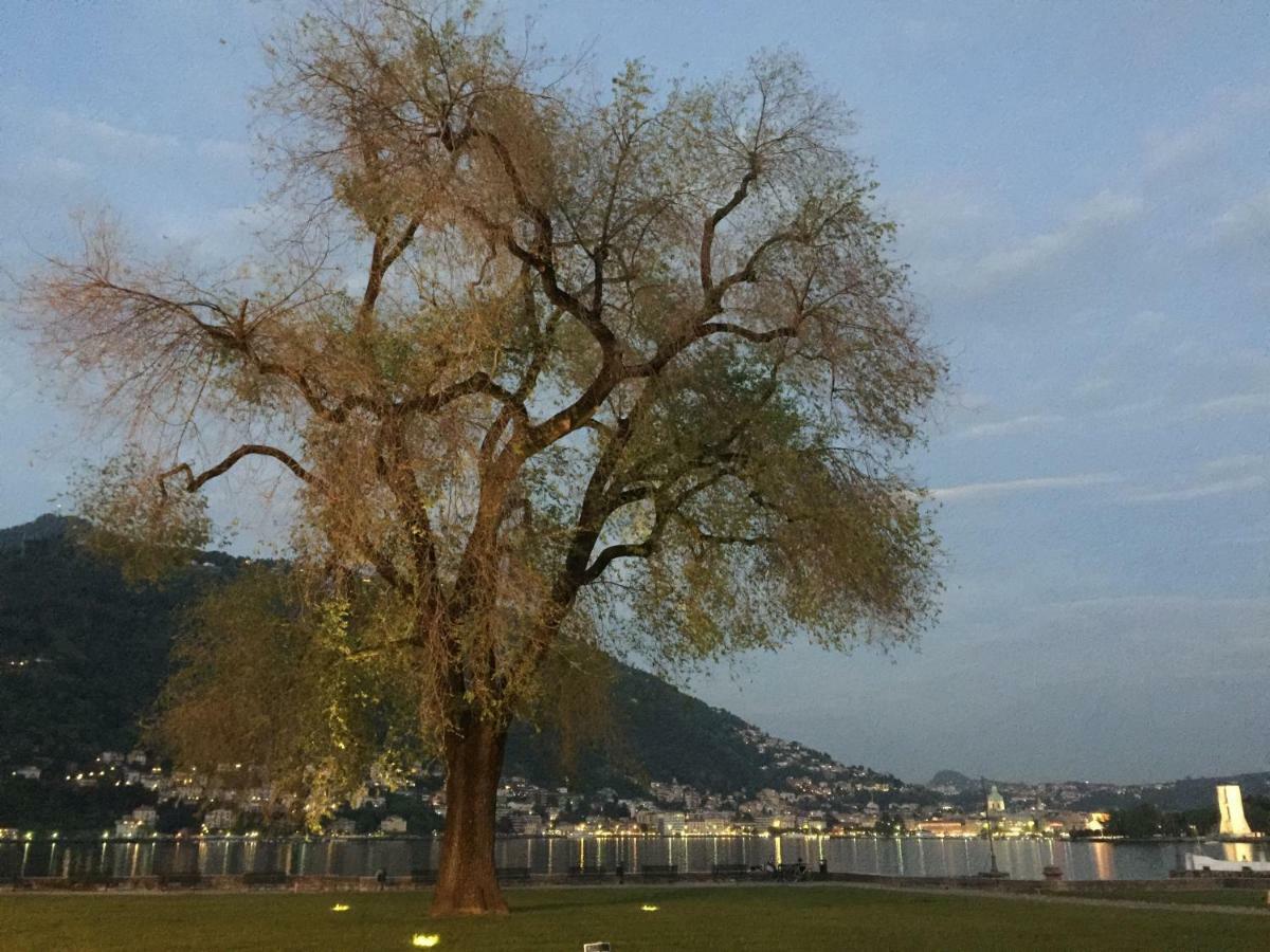 Iris 2 Lago Di Como ドンゴ エクステリア 写真